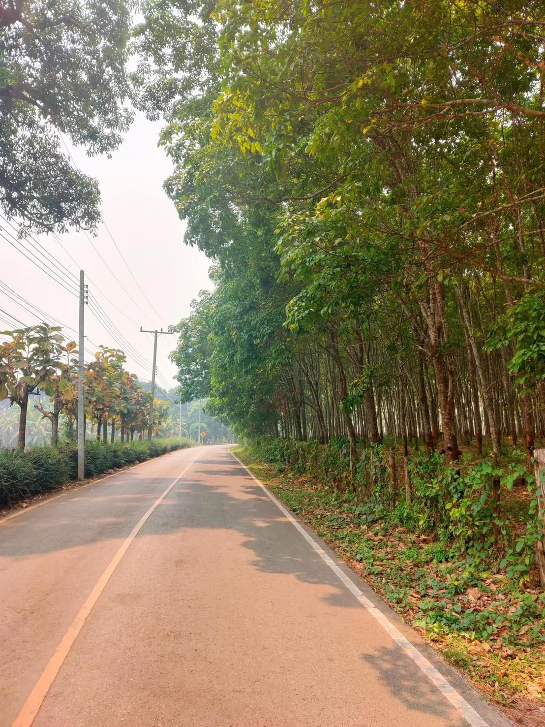 ที่ดินแปลงใหญ่ “ใจกลางเมืองปาย” ทำเลแบบนี้หาไม่ง่าย