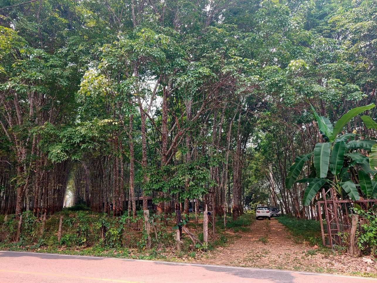 ที่ดินแปลงใหญ่ “ใจกลางเมืองปาย” ทำเลแบบนี้หาไม่ง่าย