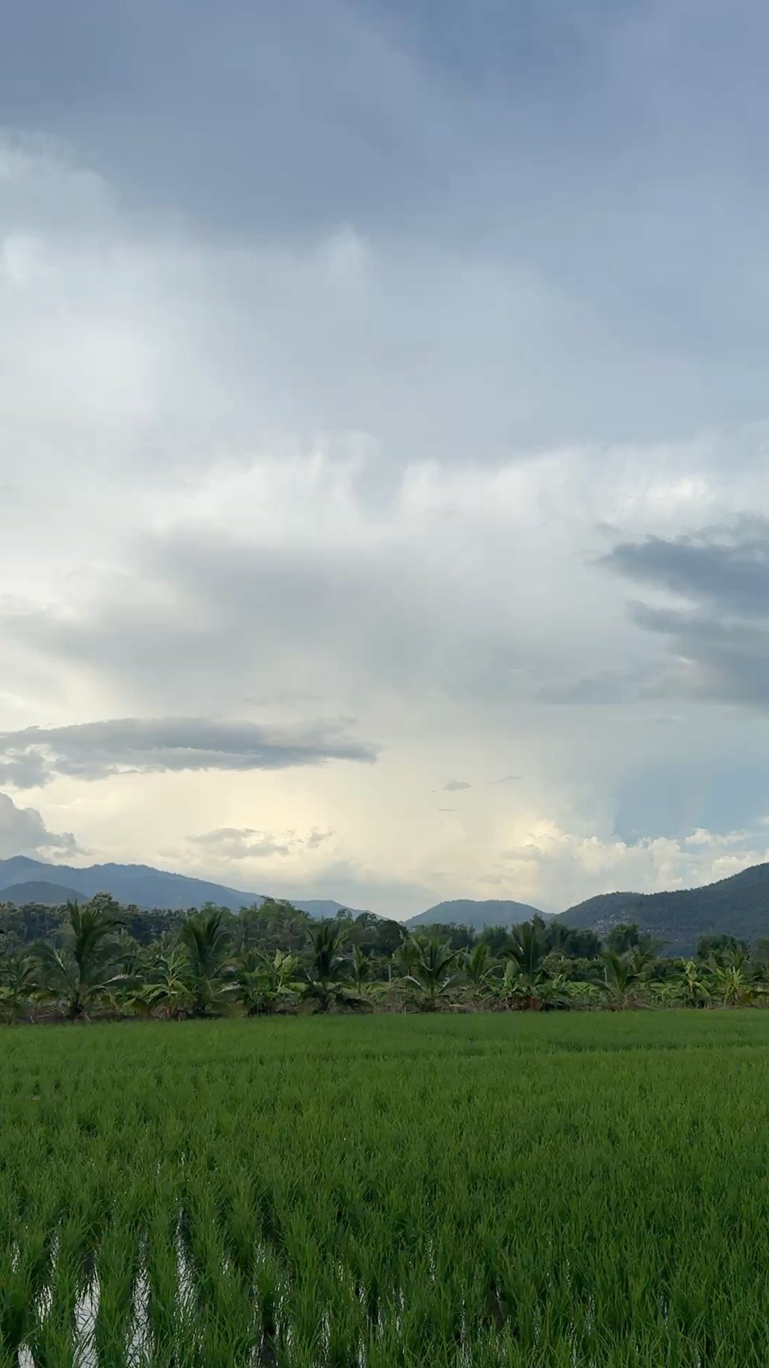 ที่ดินแปลงสวย อ.แม่แตง จ.ชียงใหม่ พร้อมวิวภูเขา 360°