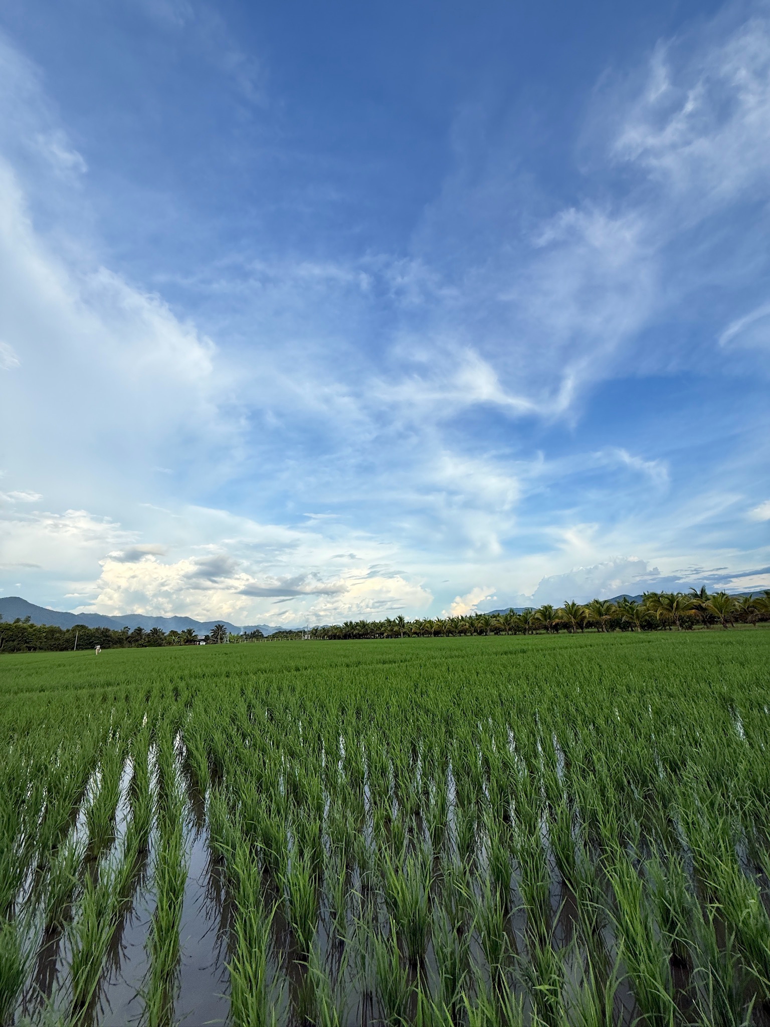 ที่ดินแปลงสวย อ.แม่แตง จ.ชียงใหม่ พร้อมวิวภูเขา 360°