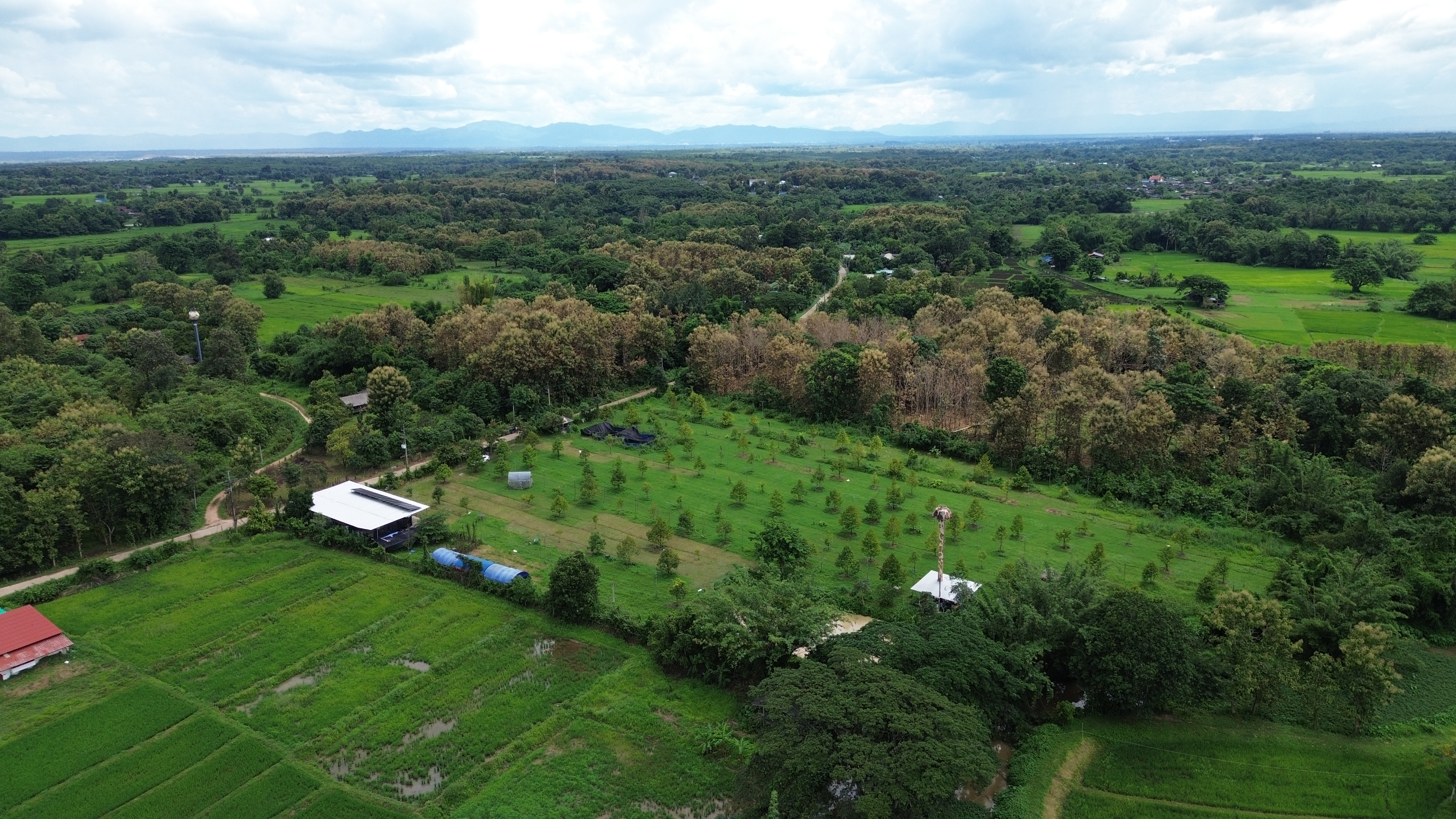 ที่ดินสวนทุเรียน 9 ไร่  54.5 ตร.ว. ไฟฟ้าโซล่าเซลล์+น้ำบาดาล พร้อมใช้