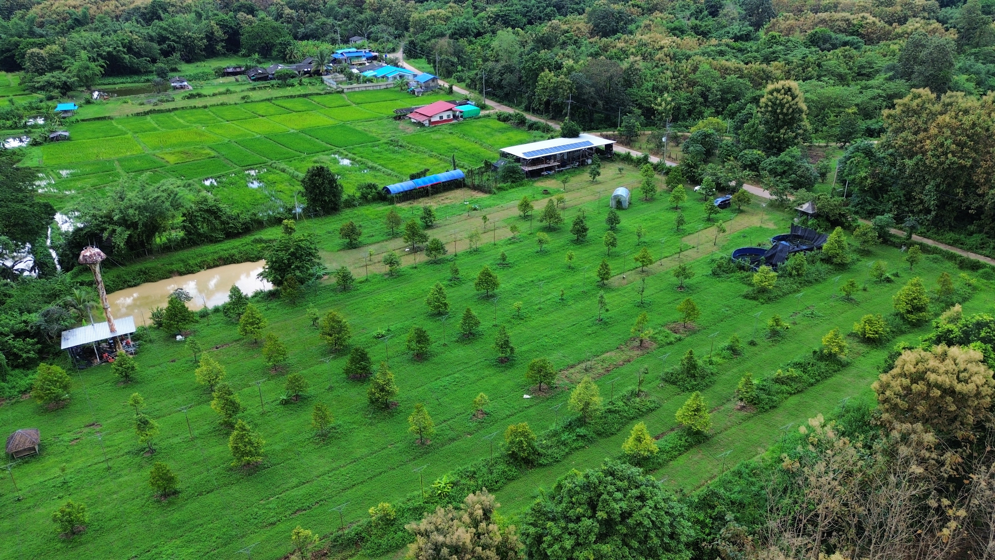 ที่ดินสวนทุเรียน 9 ไร่  54.5 ตร.ว. ไฟฟ้าโซล่าเซลล์+น้ำบาดาล พร้อมใช้