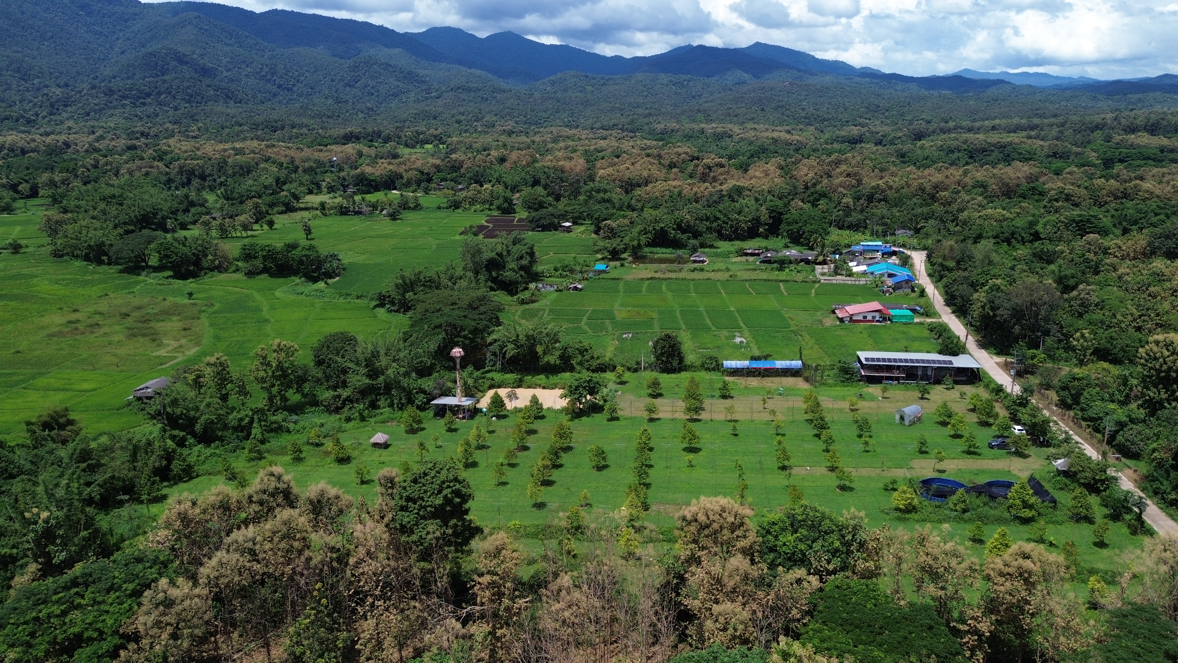 ที่ดินสวนทุเรียน 9 ไร่  54.5 ตร.ว. ไฟฟ้าโซล่าเซลล์+น้ำบาดาล พร้อมใช้