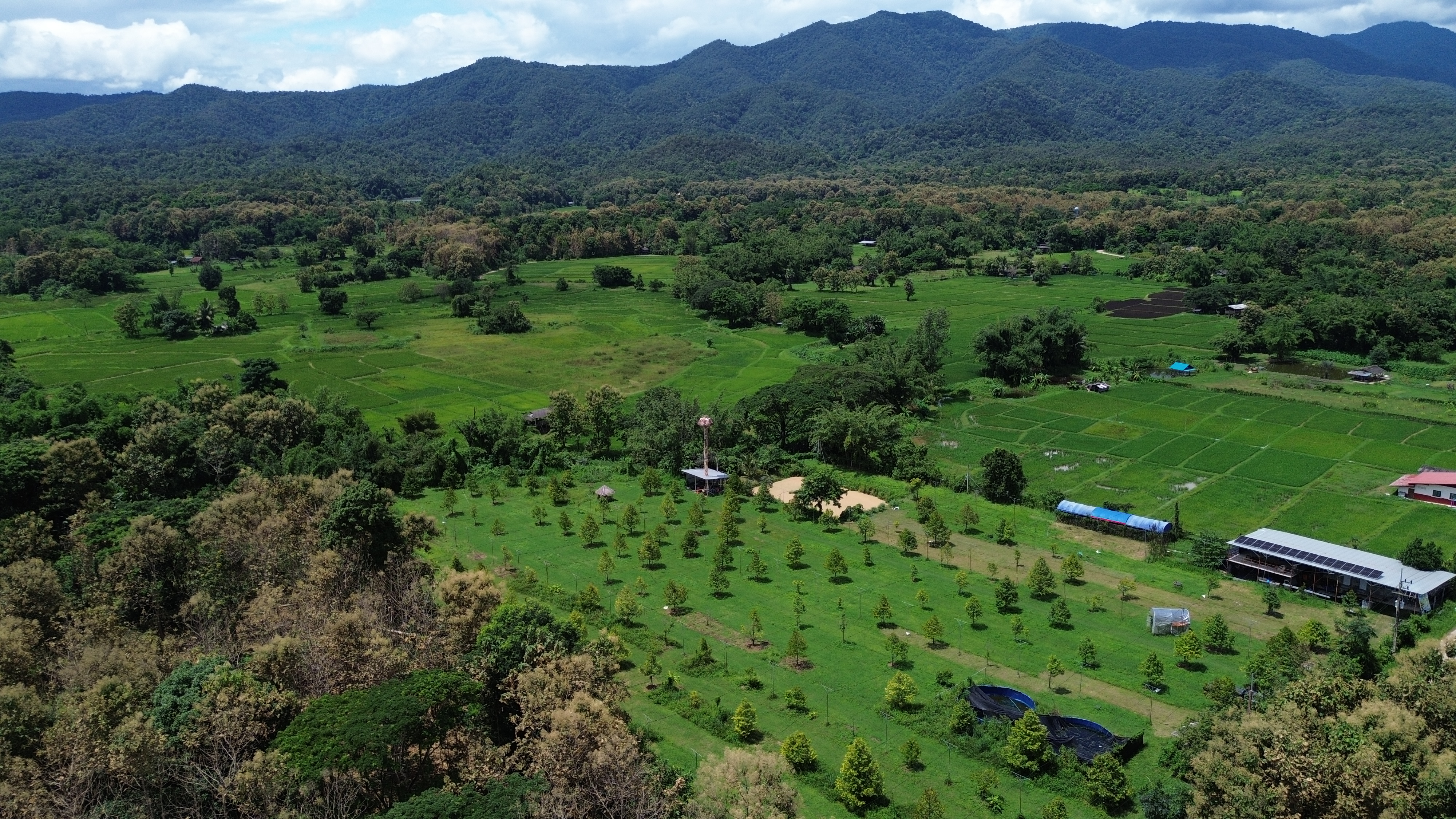 ที่ดินสวนทุเรียน 9 ไร่  54.5 ตร.ว. ไฟฟ้าโซล่าเซลล์+น้ำบาดาล พร้อมใช้