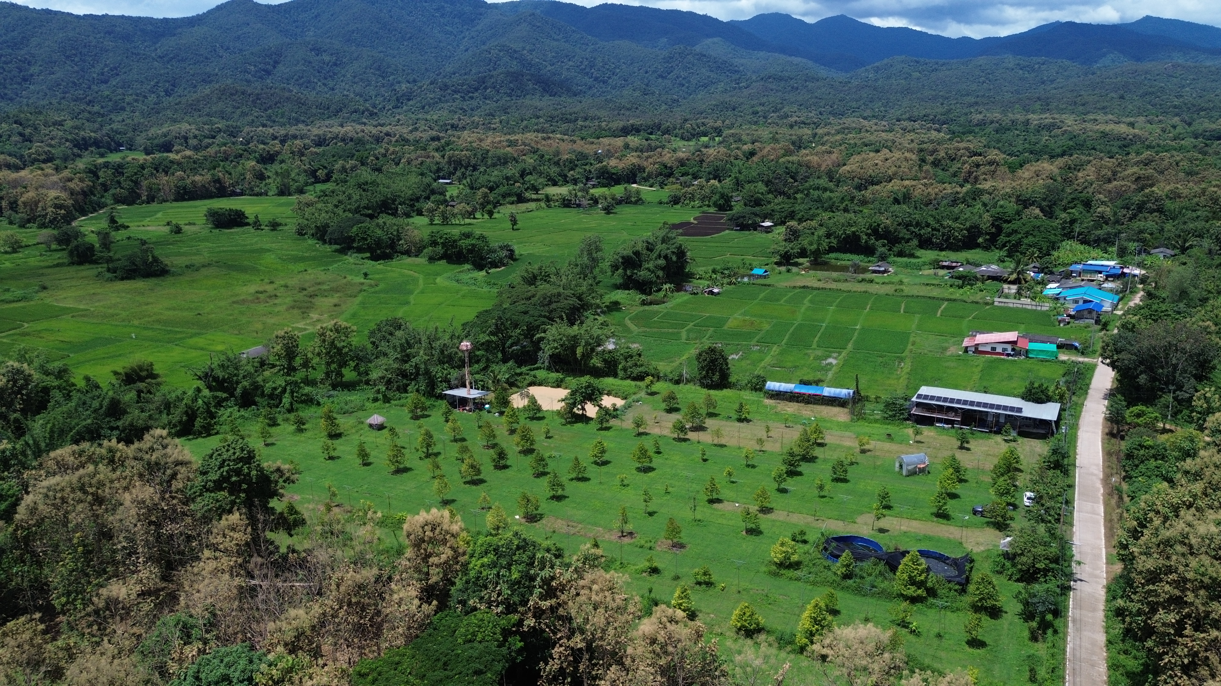ที่ดินสวนทุเรียน 9 ไร่  54.5 ตร.ว. ไฟฟ้าโซล่าเซลล์+น้ำบาดาล พร้อมใช้